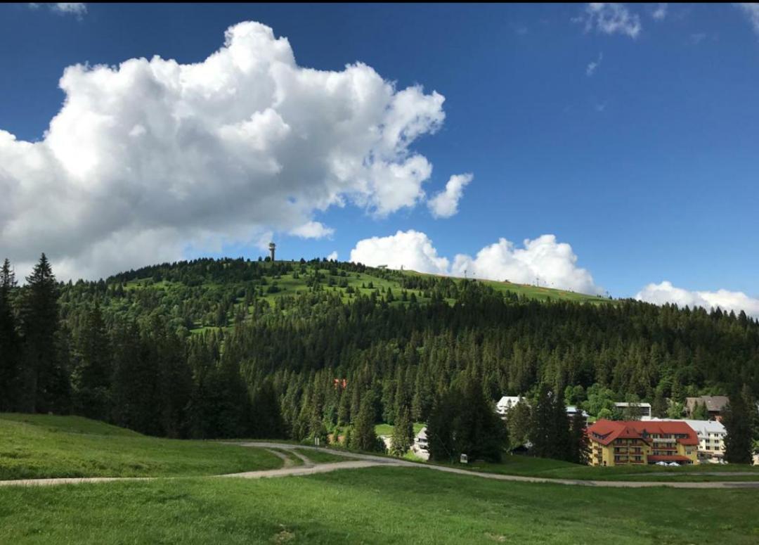 Ferienwohnung Feldberg Mit Whirlpool Direkt An Der Skipiste المظهر الخارجي الصورة